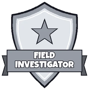Silver badge